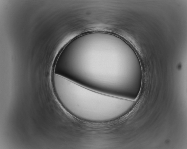 X0000098071285200804040719