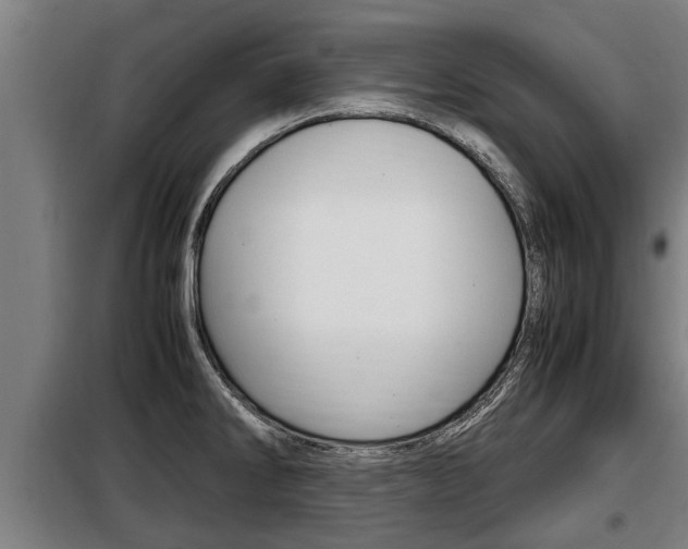 X0000098071286200804040719