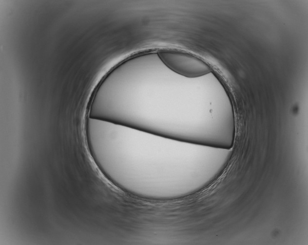 X0000098071287200804040719