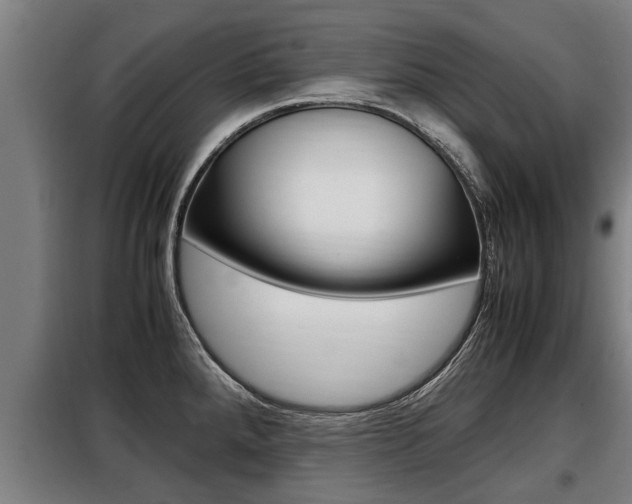 X0000098071288200804040719