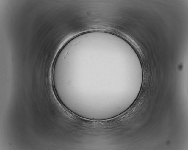 X0000098071291200804040719
