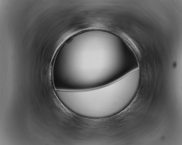 X0000098071292200804040719