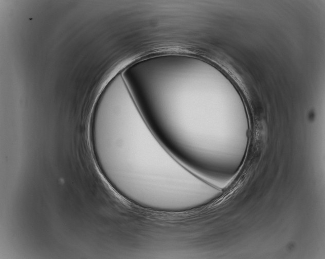 X0000098071293200804040719
