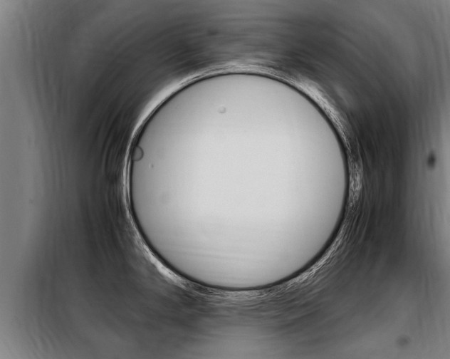 X0000098071294200804040719
