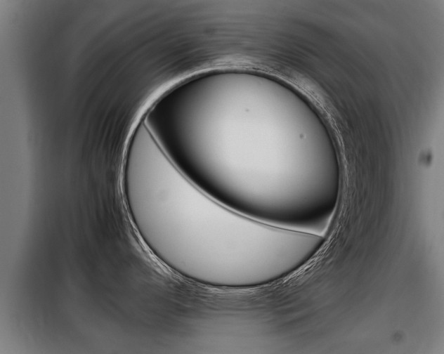 X0000098071296200804040719