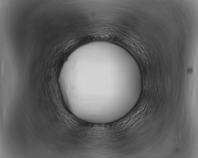 X0000098071297200804040718