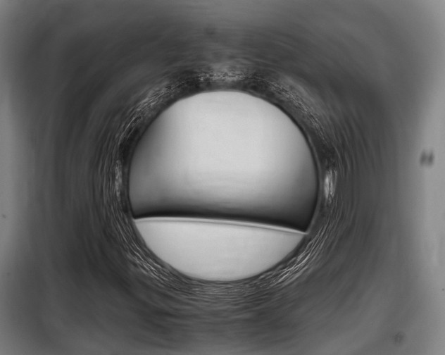 X0000098071299200804040718