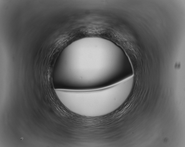 X0000098071300200804040718