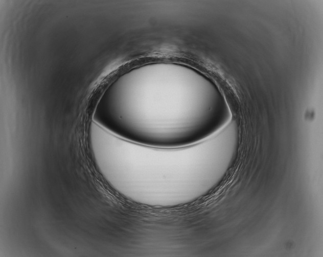 X0000098071304200804040718
