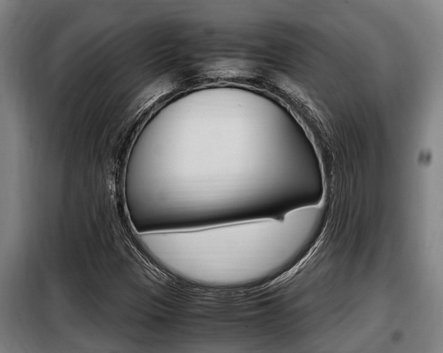 X0000098071305200804040718