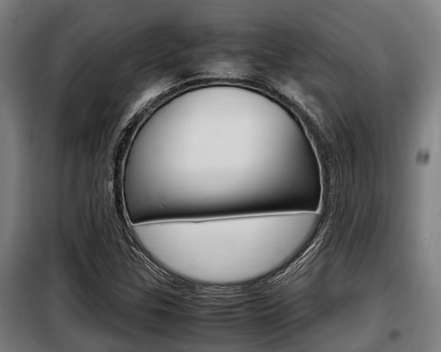 X0000098071307200804040718