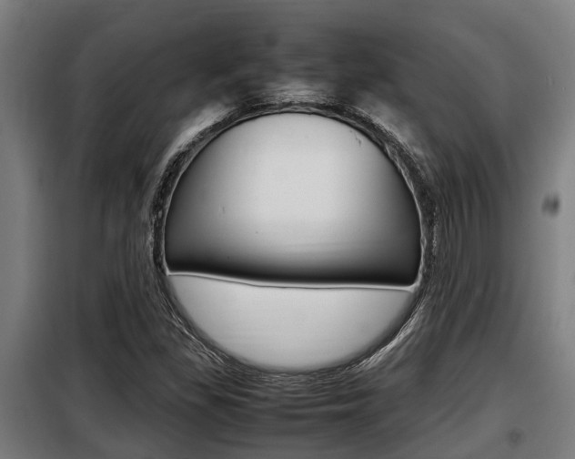 X0000098071309200804040718