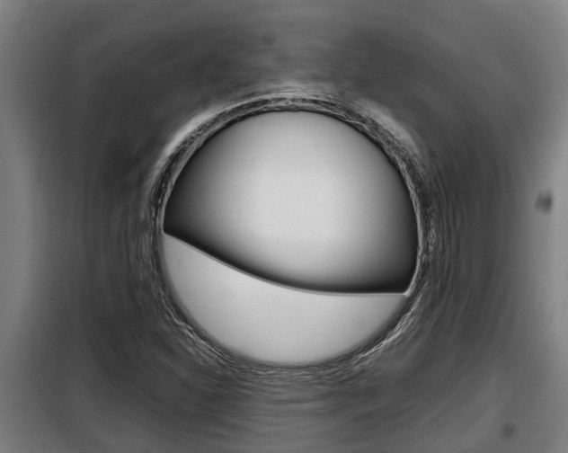 X0000098071310200804040718