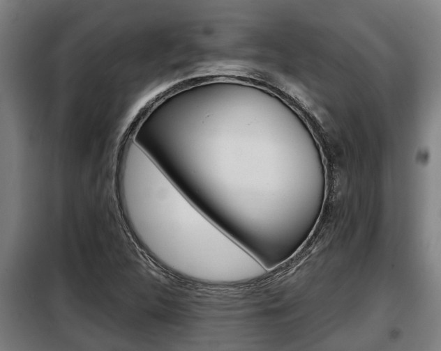X0000098071312200804040718