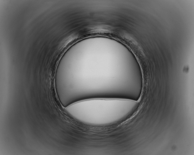 X0000098071313200804040718