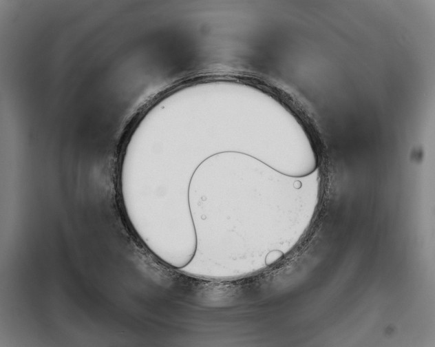 X0000098071314200804040718