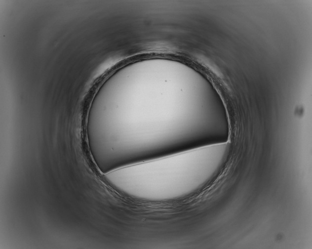 X0000098071315200804040718