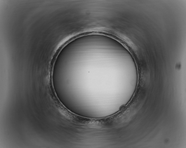 X0000098071316200804040718