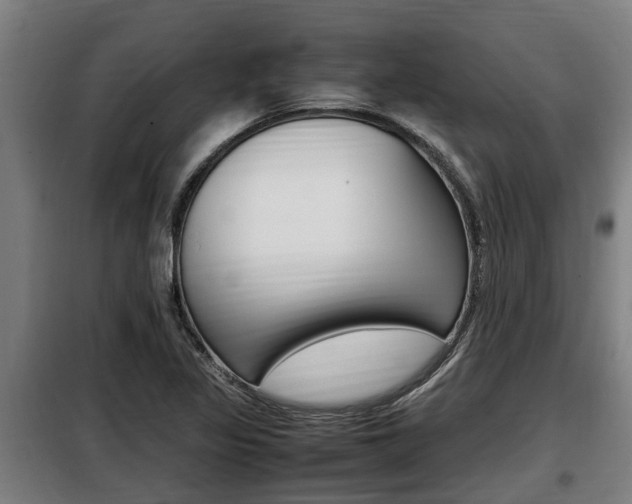 X0000098071317200804040718