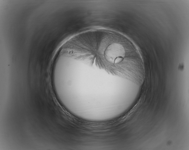 X0000098071318200804040718
