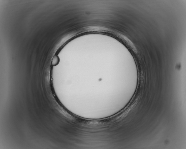 X0000098071322200804040718