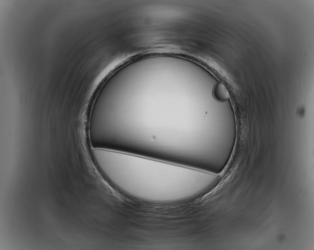 X0000098071325200804040718