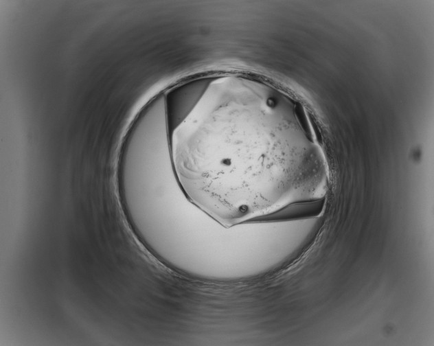X0000098071326200804040718