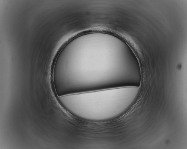 X0000098071327200804040718