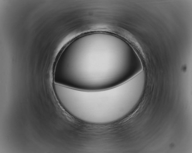 X0000098071328200804040718