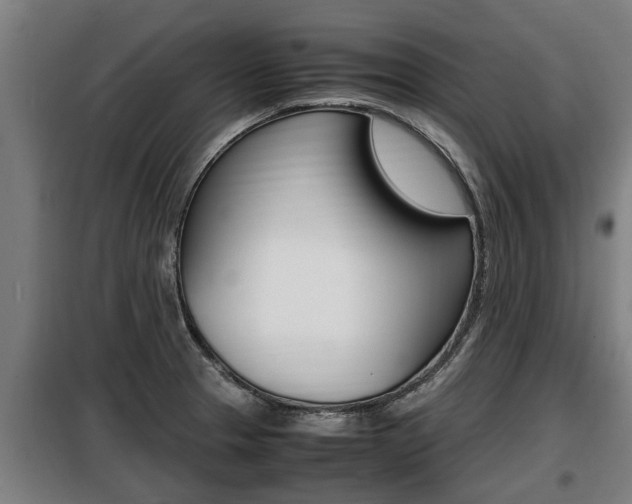 X0000098071329200804040719