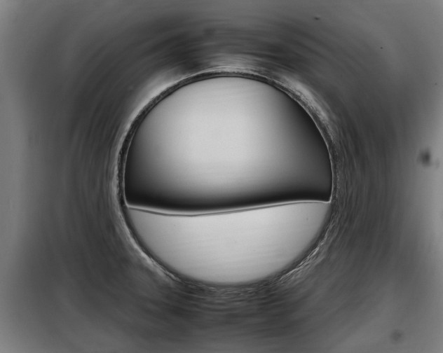 X0000098071331200804040719