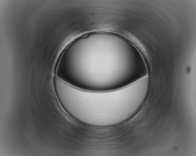 X0000098071332200804040719