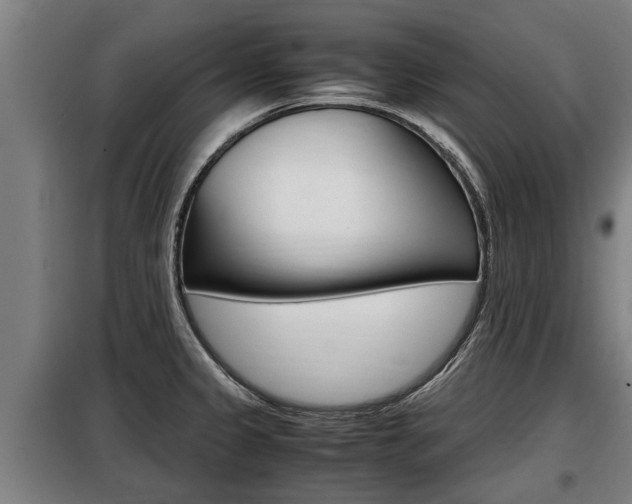 X0000098071333200804040719