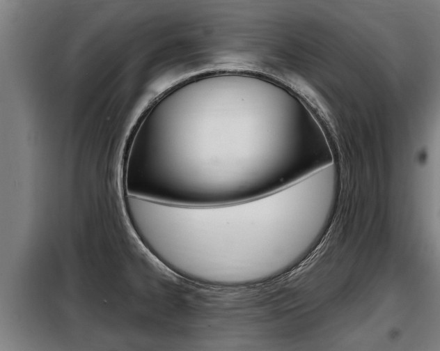 X0000098071334200804040719