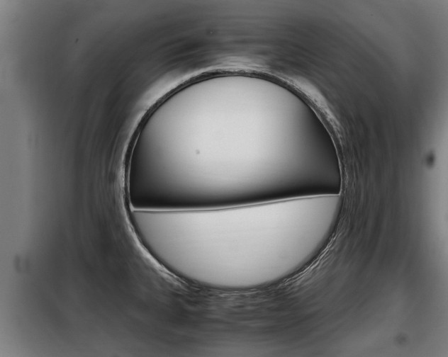 X0000098071335200804040719