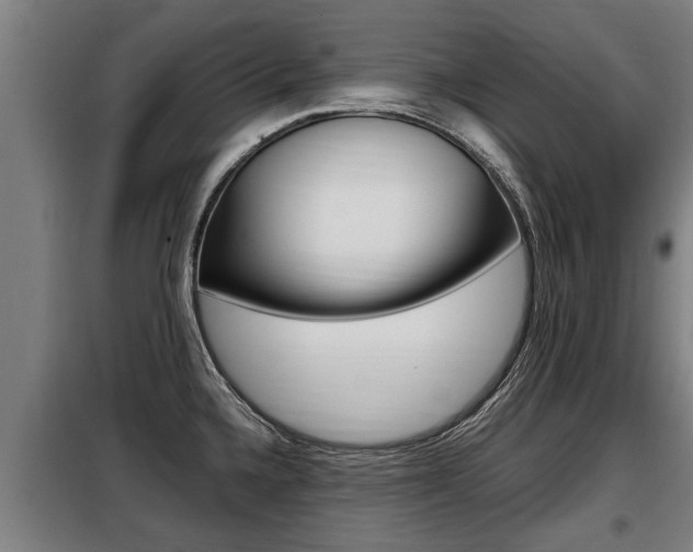 X0000098071336200804040719