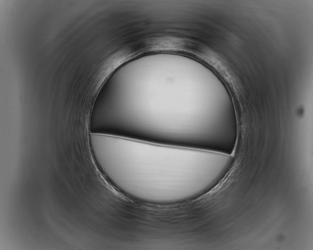 X0000098071337200804040719