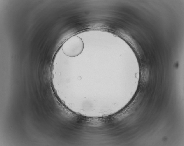 X0000098071338200804040719