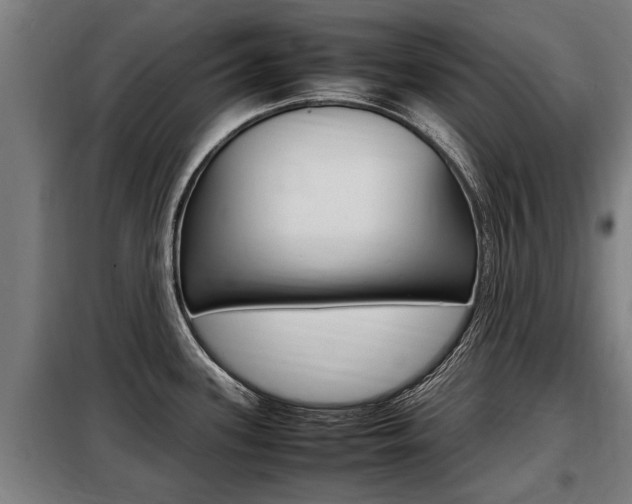 X0000098071339200804040719