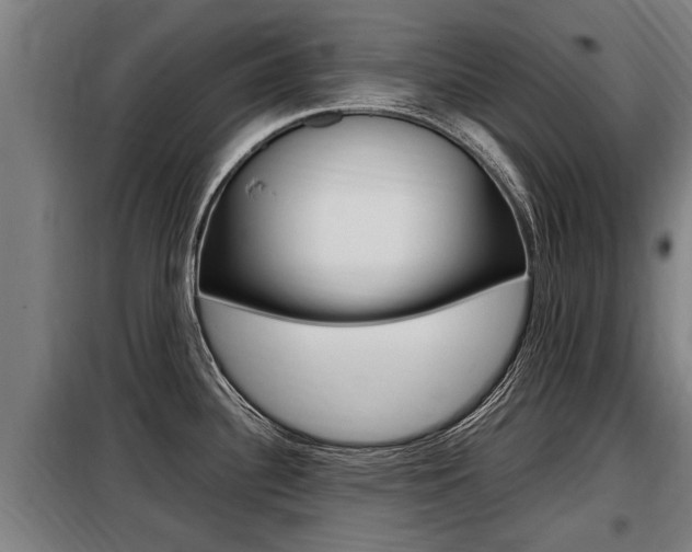 X0000098071340200804040719