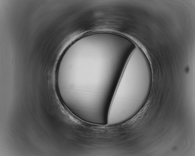 X0000098071341200804040719