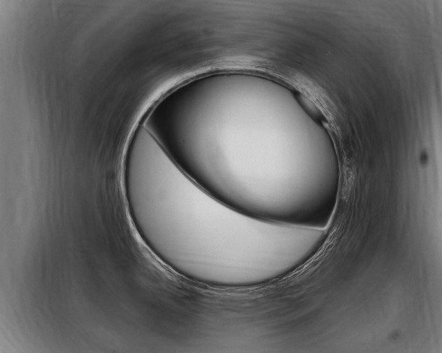 X0000098071342200804040719