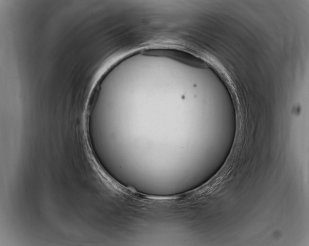 X0000098071344200804040719