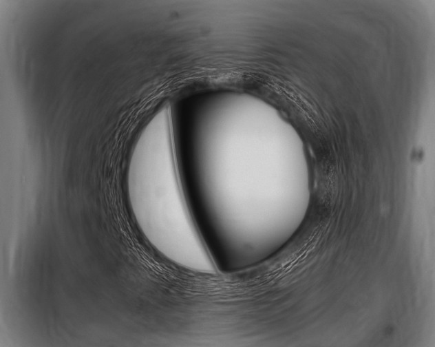 X0000098071345200804040718