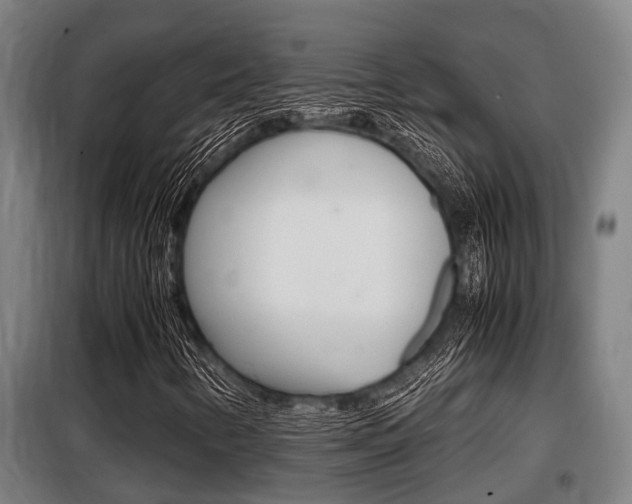 X0000098071346200804040718