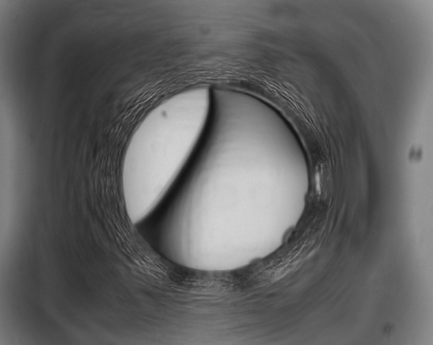 X0000098071347200804040718
