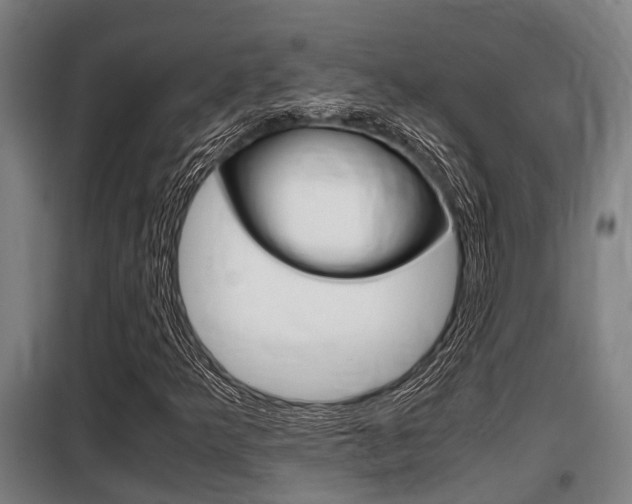 X0000098071349200804040718