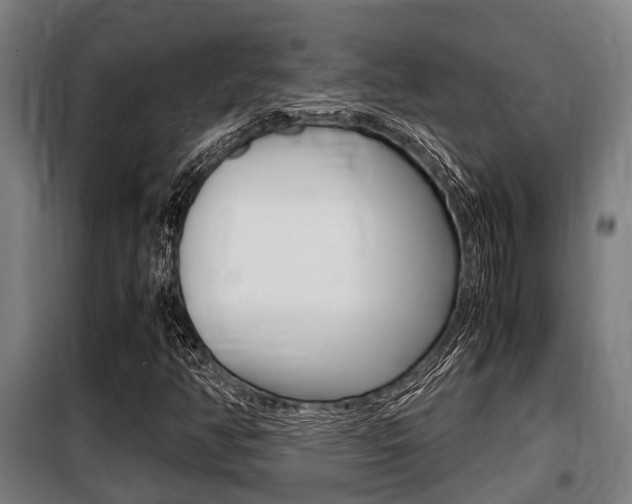 X0000098071350200804040718