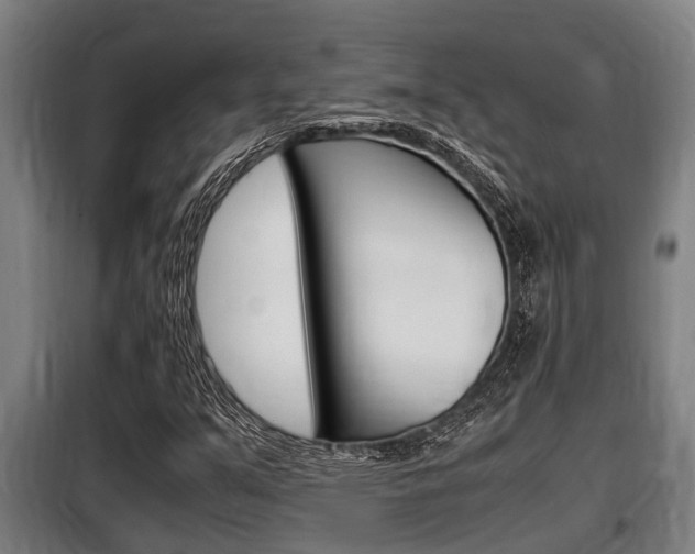 X0000098071351200804040718