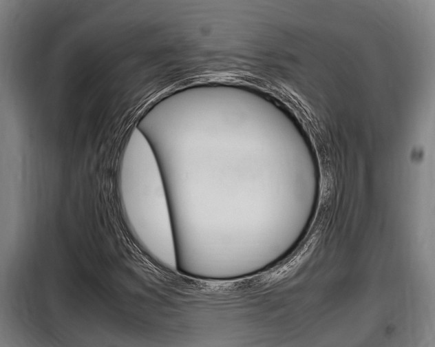 X0000098071353200804040718